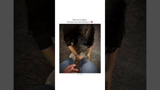 Instagram story video 💫 Sanware song 💗🦋 Couple love video  Someones special status 420k [upl. by Notsirt]