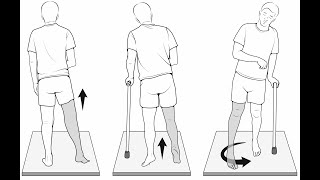 Spastic gait Hemiplegic gait  Definition Causes Characteristics Diagnosis Treatment [upl. by Neeham]