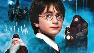 Harry Potter i la Pedra Filosofal Pel·lícula completa en català  Enllaç a la descripció [upl. by Hillary]