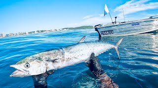 Solo Diving For Mackerel  Catch amp Cook  Gear Run through [upl. by Zachery]