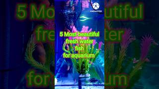 5 Most beautiful fish shorts trending fish [upl. by Meredeth119]