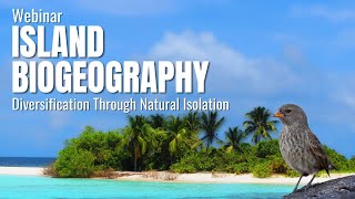 Island Biogeography Diversification through Natural Isolation [upl. by Ikcim]