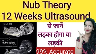 12 Weeks ultrasound se Jane Ladka ya Ladki  Early Gender Prediction using Nub Theory  NT NB Scan [upl. by Ennayhs]