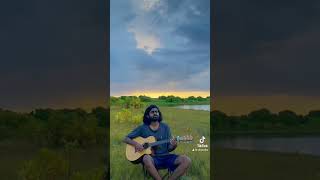 Dekopul kandulen thema cover song lahiruperera priyabhath guitar acoustic cover sinhala [upl. by Nna]