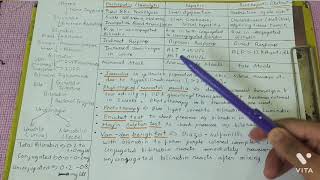 Heme Degradation amp Jaundice  1st year MBBS [upl. by Harms]