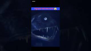 সমুদ্রের দানব  Ocean Monster shorts facts [upl. by Asiole]