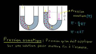 Losmose [upl. by Aslam]