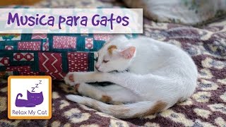 Música através da orelha de um gato  música de relaxamento para o seu gato [upl. by Wardle487]