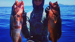 Spearfishing Cooktown Australia  coastal reefs on the great barrier reef [upl. by Flyn]