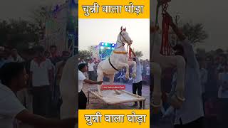 परफ्यूम लगावे चुन्नी म चुन्नी म  Dj Hit Song यही बजेगा हर जगह ll chunni mein chunni mein  Lovkush [upl. by Ellerrehs]