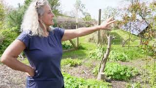 Bits and Bobs and Fresh Spaces in The Food Forest Nordic Permaculture [upl. by Ecnedac]