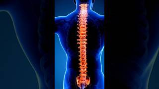 How does spine alignment impact you❓functionalmovement [upl. by Earb]