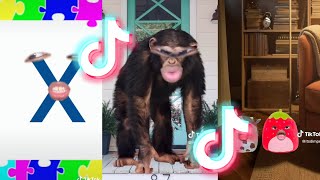 BEST FUNNY POV TIKTOK COMPILATION 2024 69 [upl. by Pazia206]