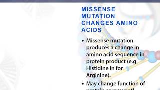 Missense mutation [upl. by Ahseined]