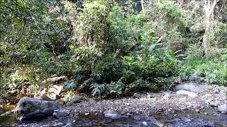 Atractivos turísticos de Colima La barranca y río de Suchitlán Colima México [upl. by Birdie]