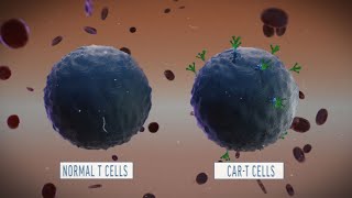 A Look at How CART Cell Therapy Works [upl. by Itoc]