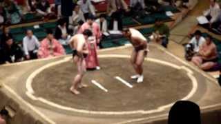 Endo 31  Osunaarashi 40  Sumo  Natsubasho 2013 [upl. by Layman]