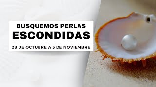 BUSCAMOS PERLAS ESCONDIDAS  SEMANA 28 DE OCTUBRE AL 3 DE NOVIEMBRE 2024 [upl. by Monson]