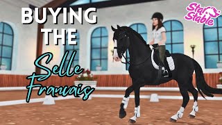 Buying the Selle Francais  Star Stable Online [upl. by Simmonds837]