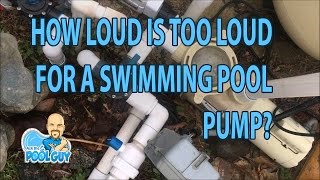 Ask the Pool Guy  Pentair Pump too Loud [upl. by Leahcar230]