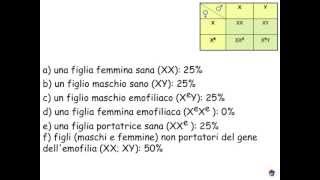 Genetica 56 esercizi [upl. by Aynotak]