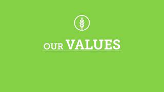 Our Values [upl. by Yordan]