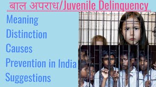 Child DelinquencyMeaning distinctioncausesPrevention EffortssuggestionProfSDVerma [upl. by Moht]