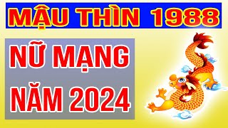 Xem Tử Vi Nữ Mạng Tuổi Mậu Thìn 1988 Năm 2024 Giáp Thìn [upl. by Ettenrahs965]