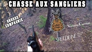 Chasse aux sangliers en battue  UNE GROSSE COMPAGNIE DE SANGLIERS [upl. by Letsyrc]