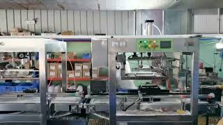 Lead acid battery finishing line machine manufacturing [upl. by Alleirbag]