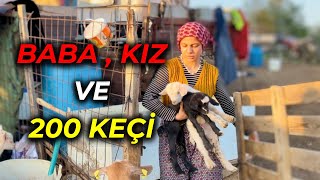 KAZDAĞLARINDA SIFIR MALİYET İLE 200 KARA KEÇİ BAKIYOR  PARAYA PARA DEMİYOR [upl. by Warton]