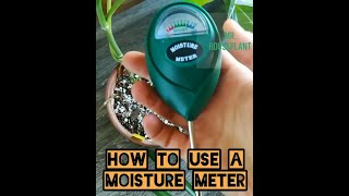 Detect Leaks with the 4in1 PinPinless Combo Moisture Meter 👍 [upl. by Gunzburg]