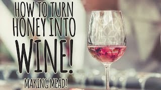 Brewing Mead  How To Make A Metheglin [upl. by Waligore956]