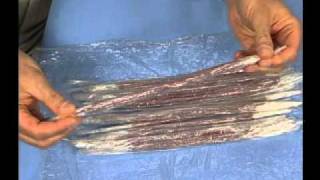 Muscle Anatomy Plastic Wrap Teaching Tip Video [upl. by Evaleen]