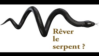 Rêver de serpent  Interprétation et Signification du serpent en rêve [upl. by Arikihs]