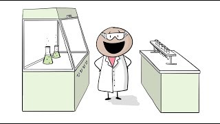 Why Should We Do Laboratory Chemical Risk Assessments [upl. by Olram]