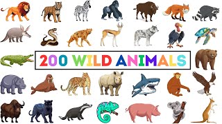 200 Wild Animals  Learn Animals Name In English With Pictures  Animals Vocabulary In English [upl. by Hammel]