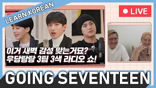 SEVENTEEN GOING Radio Show 1  Learn Korean with Going Seventeen Live [upl. by Lisha]