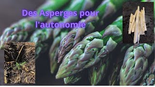 Des Asperges pour lautonomie [upl. by Llenaej]