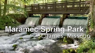 Maramec Spring Park Tour  St James Missouri exploringmissouri [upl. by Newob]