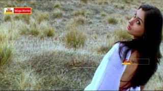 Brahma oh Brahma Enta Mudduga Undi Gumma  Gemini Telugu Movie Songs  VenkateshNamitha [upl. by Soigroeg757]