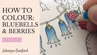 Colouring Tutorial  How to Colour Bluebells amp Berries [upl. by Yeltnerb]