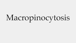 How to Pronounce Macropinocytosis [upl. by Bonns]