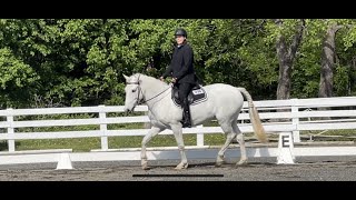 Working Equitation L2Novice A Dressage Test 2023 [upl. by Rockwell571]