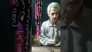 این عوعویِ سگان شما؛نیزبگذرد روشنفومنی غزلغزلیات شعر شعروموسیقی شعروادبیات شعرکلاسیک [upl. by Ytnom758]