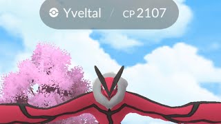 Pokémon Go Free Yveltal from summer cup 😮 [upl. by Laiceps]