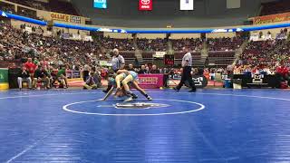 PIAA Wrestling Penn State commit Gavin Teasdale earns techfall win in first round [upl. by Aleka]