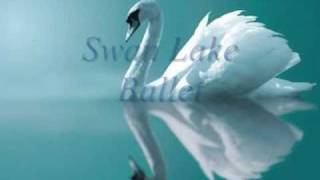 Swan Lake Ballet Tchaikovsky  Act IV XXVIII Scene amp XXIX Finale [upl. by Gaelan544]