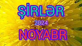 ŞİR BÜRCÜ♌️ NOYABR✅️ TAROPROQNOZ 2024 [upl. by Pebrook662]