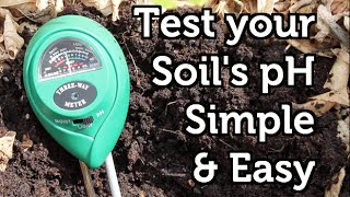 How to Measure your Soil pH Cheap and Easy [upl. by Derriey938]